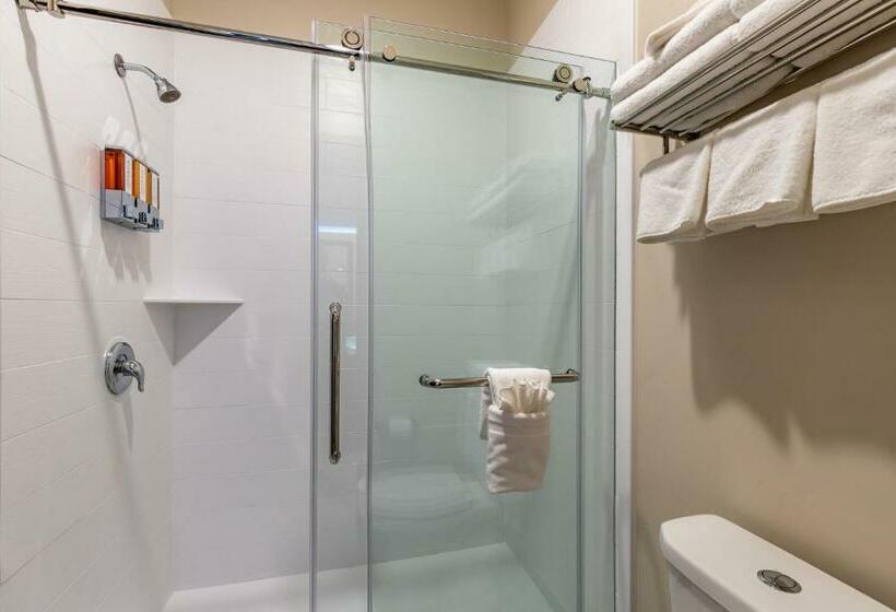 Стандартный Номер Кровать Кинг, Scenic View Inn & Suites Moab