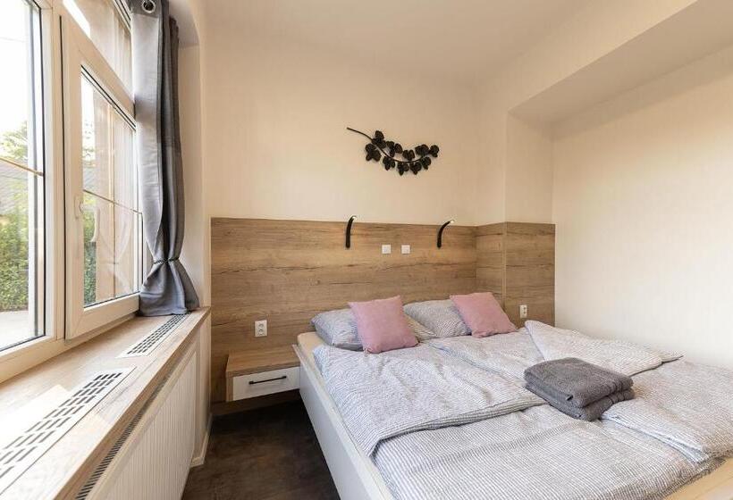带1个卧室的豪华公寓, Apartsee Wellness Plzeň
