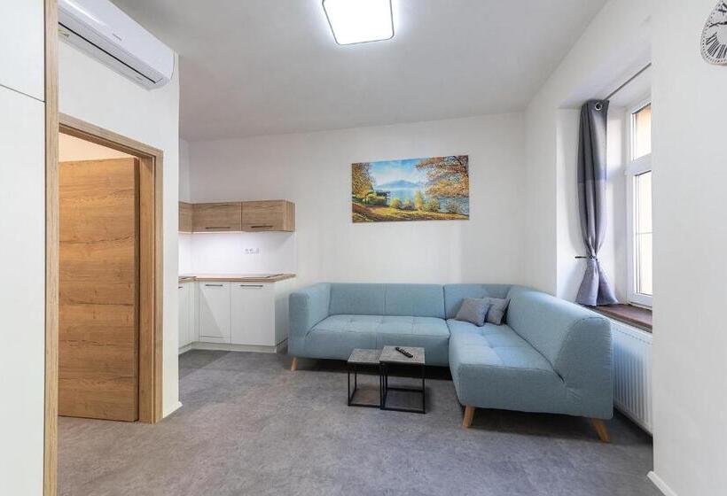 带1个卧室的公寓, Apartsee Wellness Plzeň