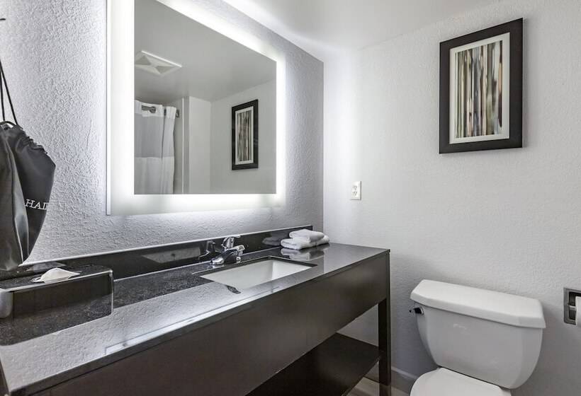 اتاق استاندارد با 2 تخت دوبل, Comfort Inn & Suites Grand Blanc Flint