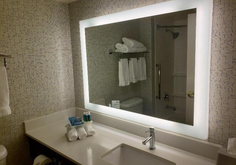 Стандартный Номер Кровать Кинг, Holiday Inn Express Portland West/hillsboro, An Ihg