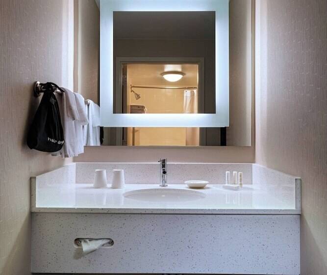 Люкс, Springhill Suites Boise West/eagle