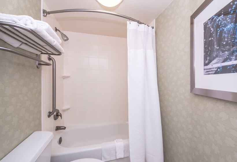 Люкс Адаптированный для Инвалидов, Springhill Suites Boise West/eagle