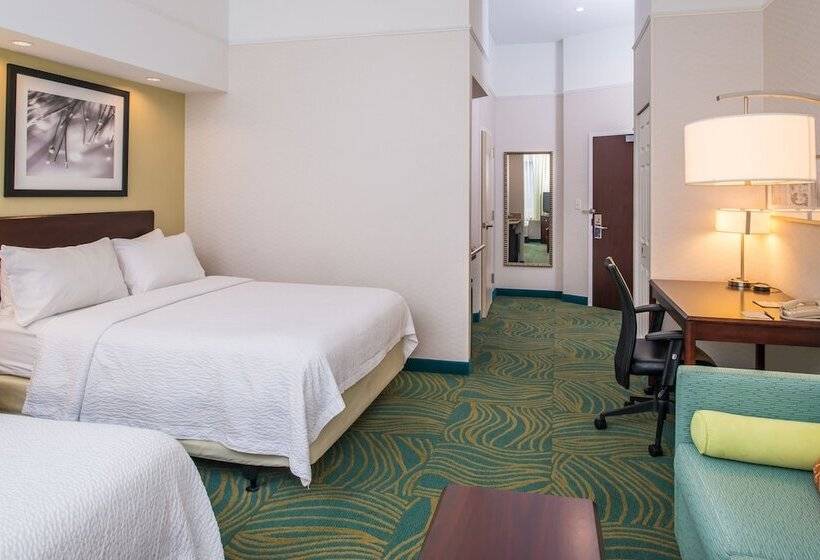 Люкс Адаптированный для Инвалидов, Springhill Suites Boise West/eagle