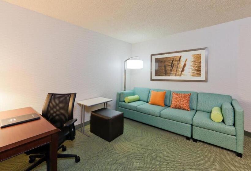 Студия Deluxe, Springhill Suites Denver North/westminster