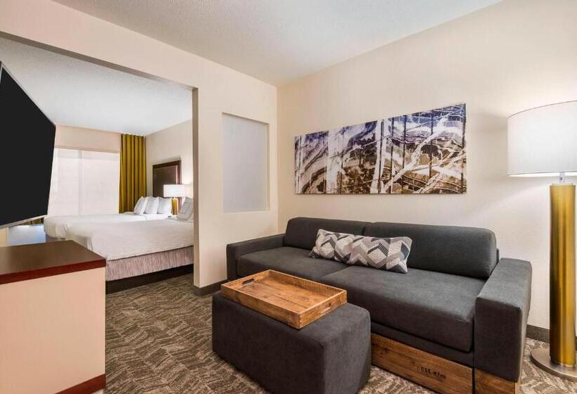 Люкс, Springhill Suites Indianapolis Carmel