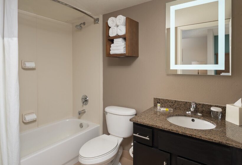 Студия Стандарт, Staybridge Suites Denver Tech Center, An Ihg