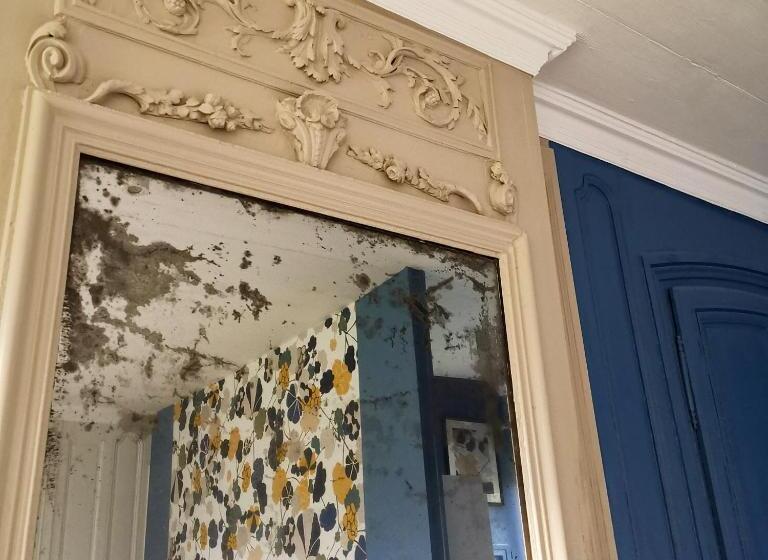 标准房带园景, Manoir Des Carreaux Chambres D'hôtes