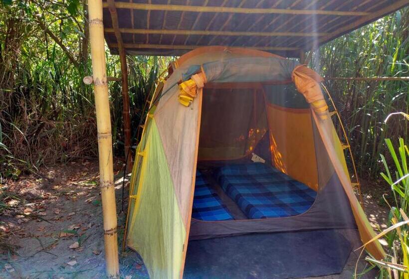 Standard Tent, Rumi Wilco Ecolodge & Nature Reserve Cabañas & Camping