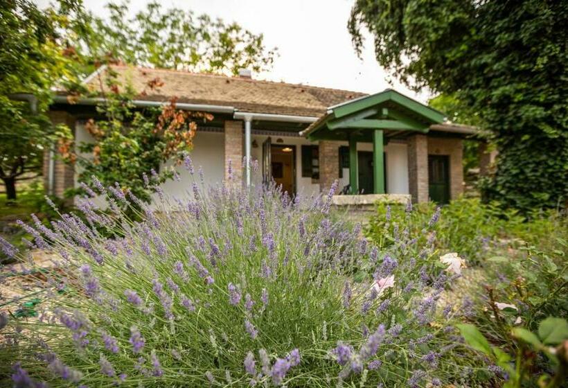 Президентский Люкс, Provence Birtok