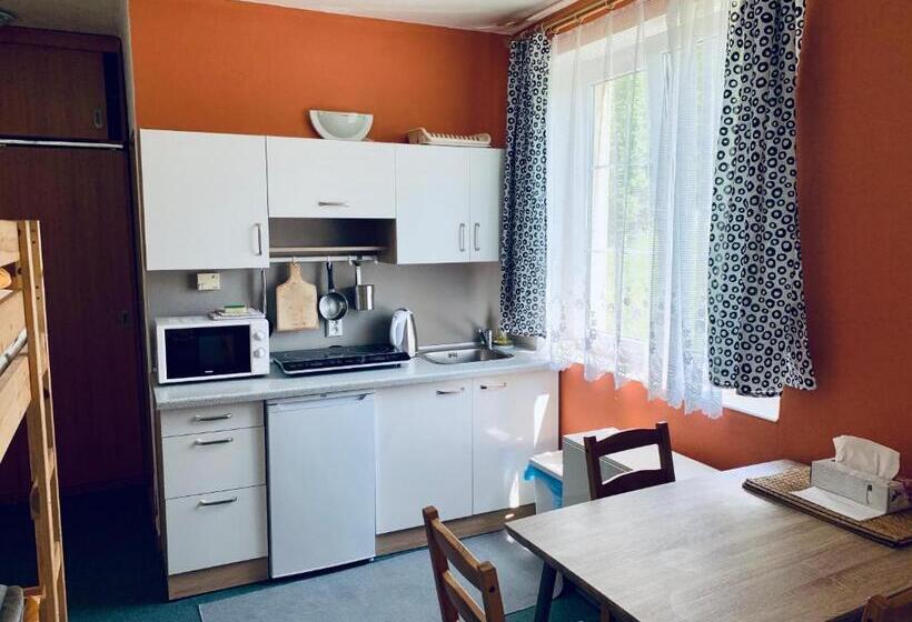 Апартаменты 1 Спальня Нижний Этаж, Apartmány Na Horce