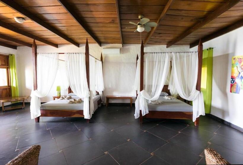 스탠다드 스튜디오 바다 전망, Punta Duarte Garden Inn