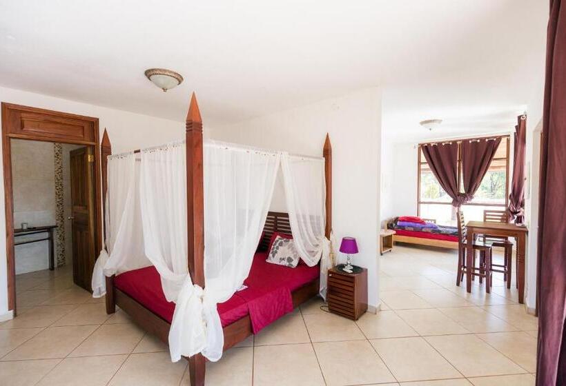 스탠다드 스튜디오 킹침대, Punta Duarte Garden Inn