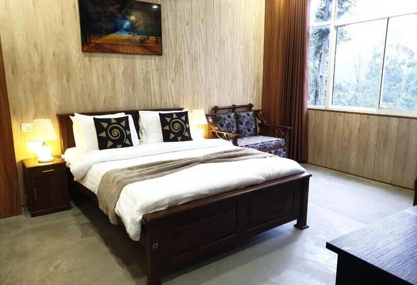 高级大房间, Daddy's Guest Home