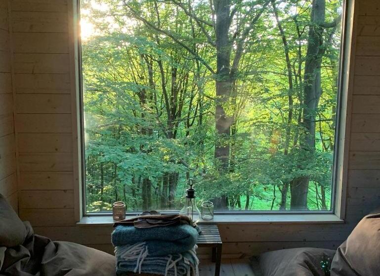 Студио Стандарт с Балконом, Farm Stay Happy Dogs Ranch