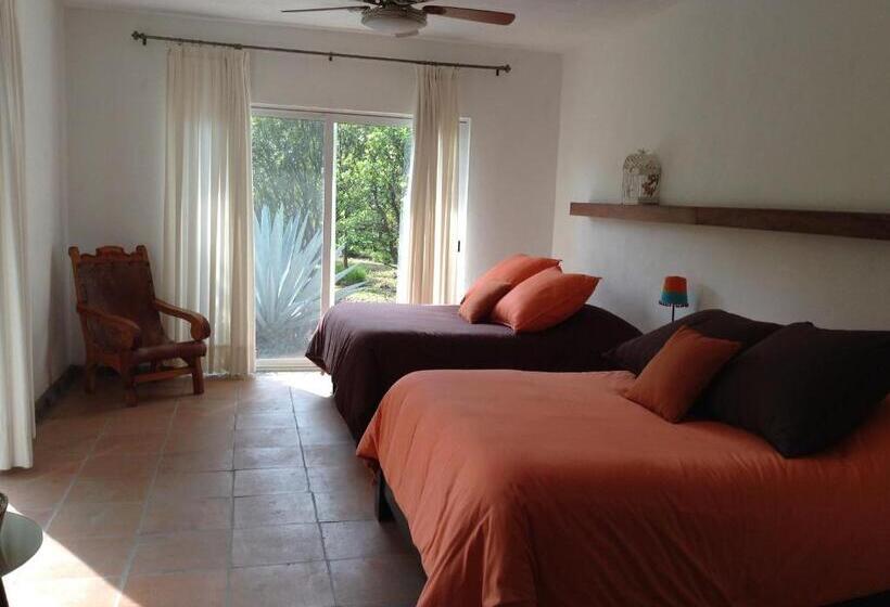 スタンダードルーム, Los Naranjos Hotel Boutique