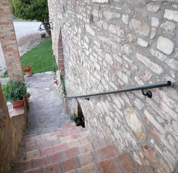 Апартаменты 1 Спальня с Террасой, Fattoria Di Rigone