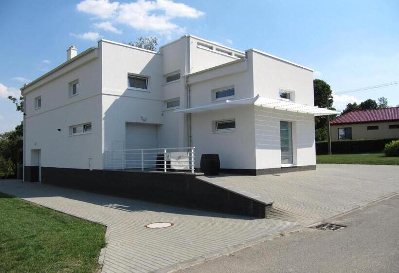 Номер Стандарт, Vinařství Novotný