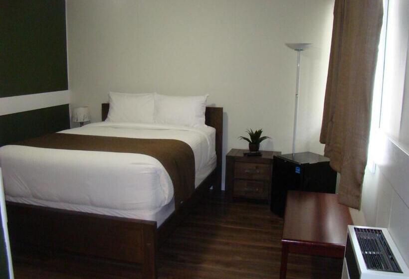 标准间, Paddock Inn