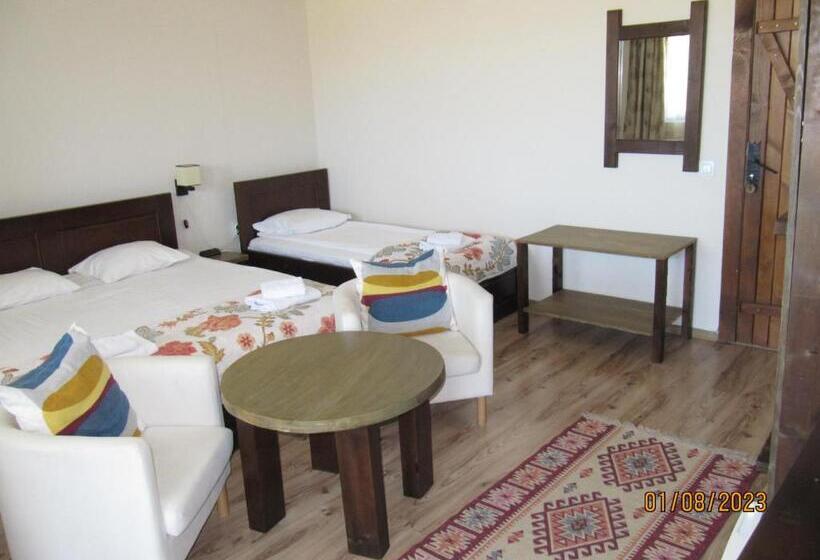 Трехместный Номер Стандарт с Балконом, Guest House Belchin View