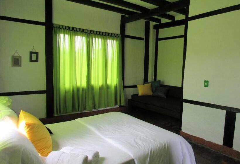 اتاق استاندارد با چشم‌انداز کوهستان, Coffee Tree Boutique Hostel