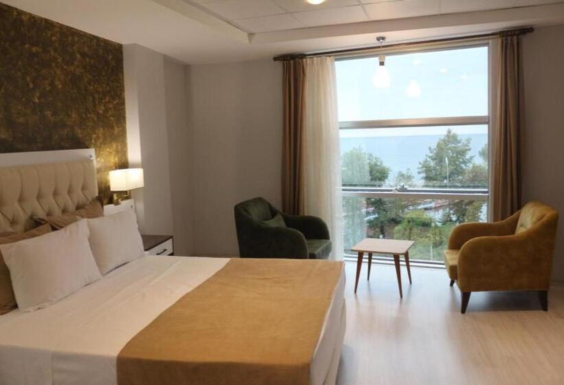 스탠다드 룸, Alarga Premier Otel
