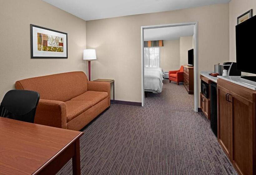 套房, Holiday Inn Express Hotel & Suites Scottsdale   Old Town, An Ihg