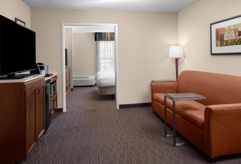 带阳台套房, Holiday Inn Express Hotel & Suites Scottsdale   Old Town, An Ihg