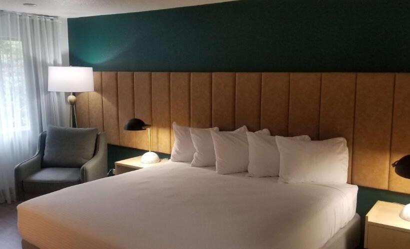 带大床的标准间, Best Western Portland West Beaverton