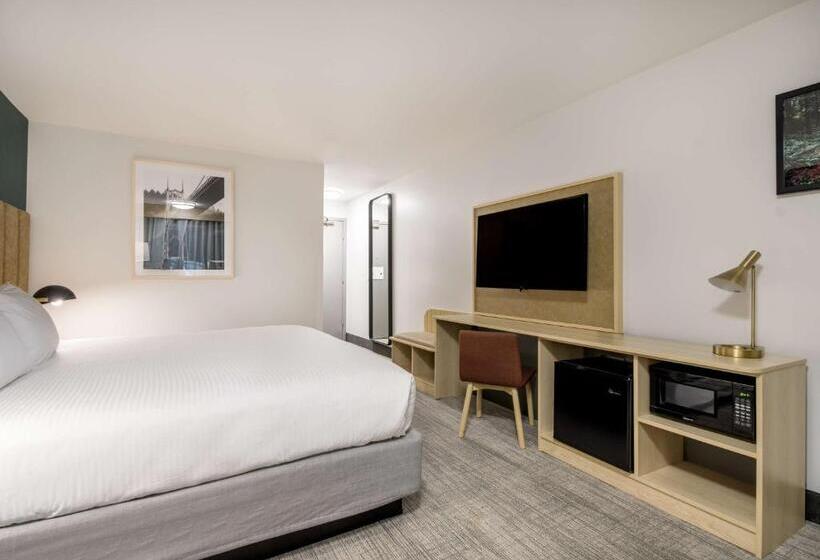 스위트 킹사이즈 침대, Best Western Portland West Beaverton