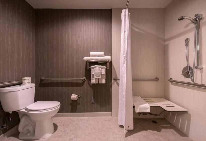 스탠다드 룸 킹사이즈 침대, Courtyard By Marriott Oxnard/ventura