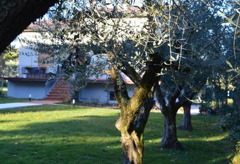 اتاق لوکس, The Swan B&b