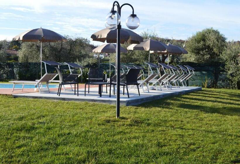 اتاق لوکس, The Swan B&b