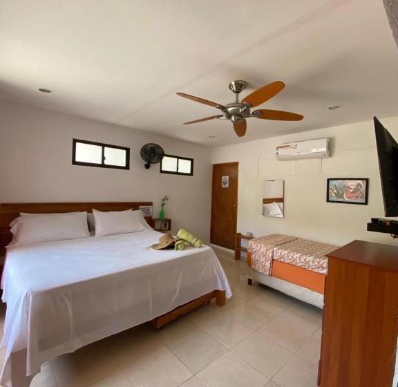 Апартаменты 1 Спальня с Террасой, Casa Italia Guest House