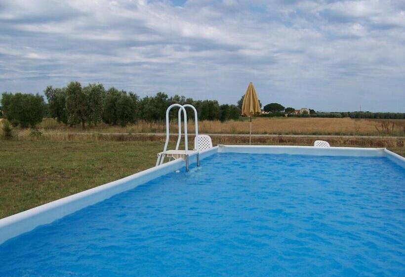 Номер Basic, Agriturismo La Nocciolina