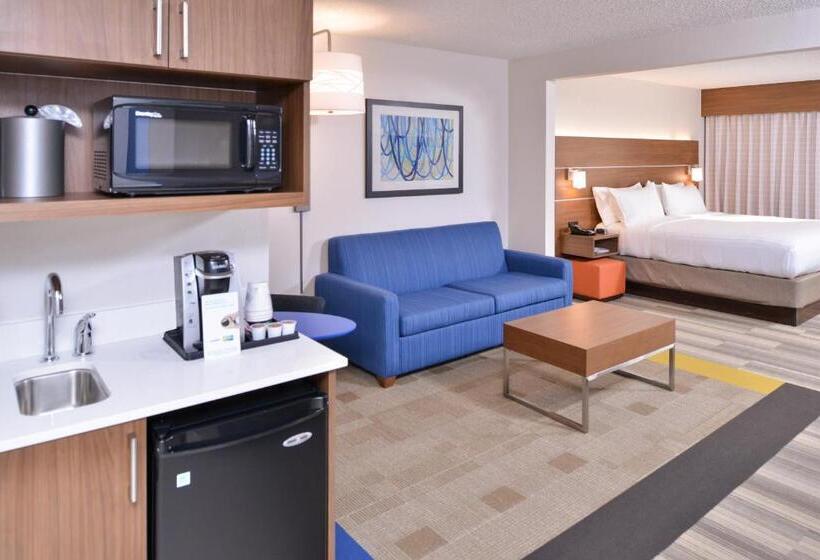Estudi Estàndard Llit King, Holiday Inn Express Hotel & Suites Indianapolis Dtn Conv Ctr, An Ihg