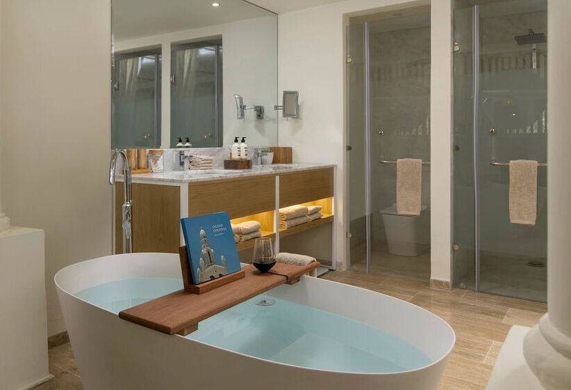 سوییت جونیور, Paradisus Palma Real Golf & Spa Resort All Inclusive