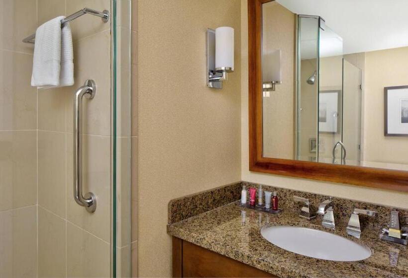 스탠다드 룸 더블 침대 2개, Wyndham Atlanta Buckhead Hotel & Conference Center
