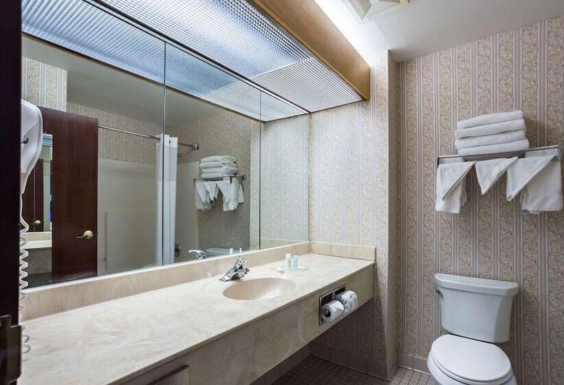 Люкс, Comfort Suites New Orleans East