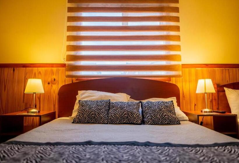 标准单人间, Hostal Alcázar