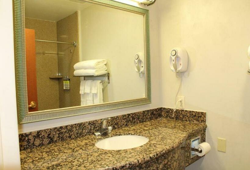 سوئیت با تخت بزرگ, Holiday Inn Express Hotel & Suites Tucson Mall, An Ihg
