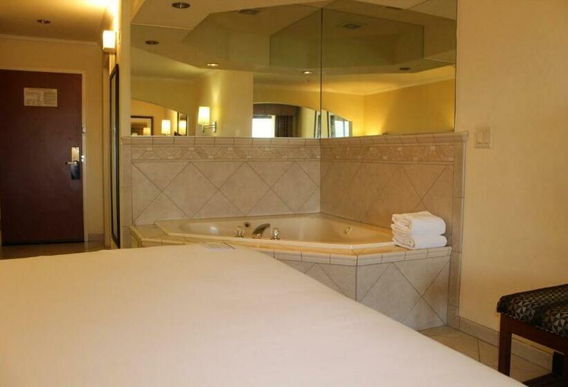 스위트 킹사이즈 침대, Holiday Inn Express Hotel & Suites Tucson Mall, An Ihg