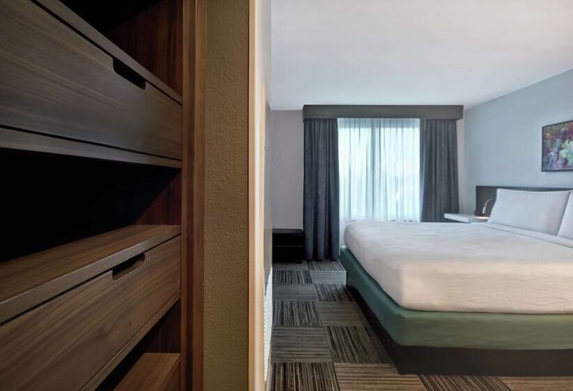 ジュニアスイート, Hilton Garden Inn Houston/galleria Area