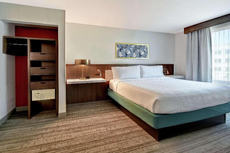 キングサイズベッドのスタンダードルーム, Hilton Garden Inn Houston/galleria Area