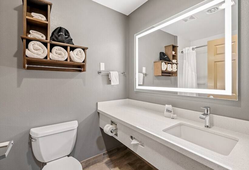 Номер Стандарт, Holiday Inn Express Hotel & Suites   Paso Robles, An Ihg