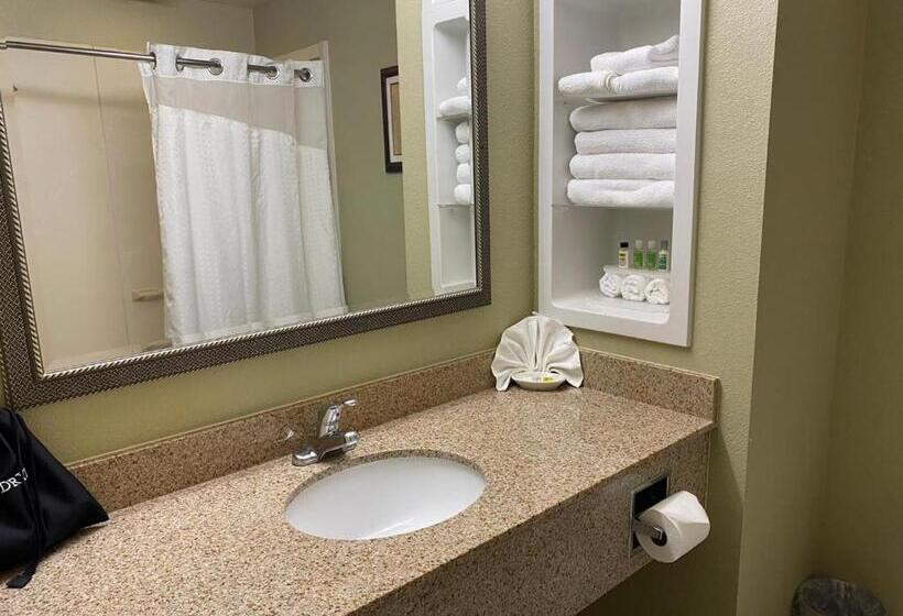 Номер Deluxe Кровать Кинг, Marguerite South Anaheim   Garden Grove, Trademark Collection By Wyndham