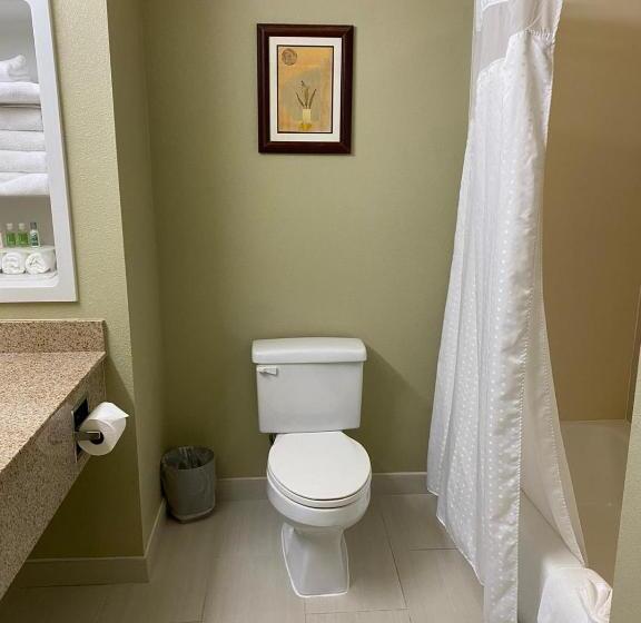 Номер Стандарт Кровать Кинг Адаптированный для Инвалидов, Marguerite South Anaheim   Garden Grove, Trademark Collection By Wyndham