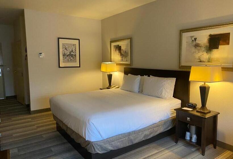 Номер Стандарт Кровать Кинг Адаптированный для Инвалидов, Marguerite South Anaheim   Garden Grove, Trademark Collection By Wyndham