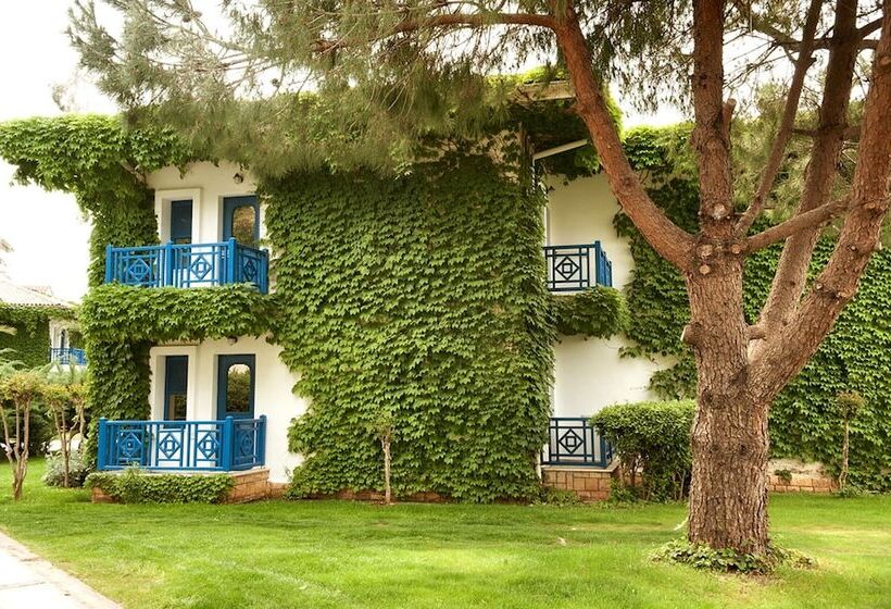 Номер Клуб, Belconti Resort