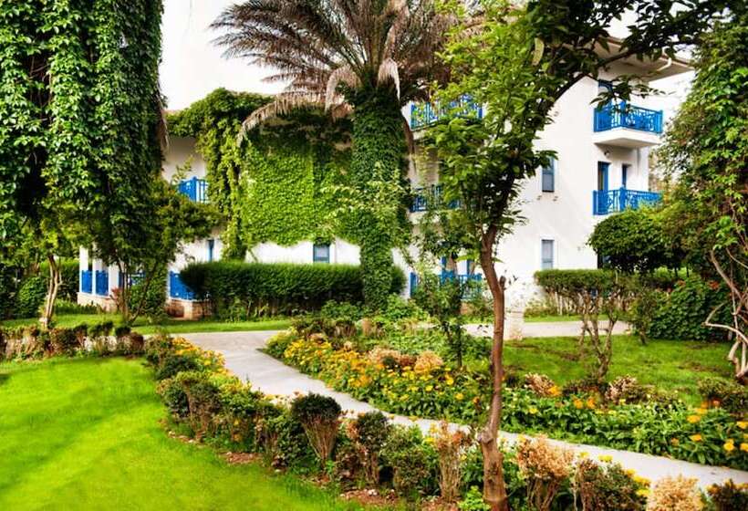 Семейный Номер, Belconti Resort